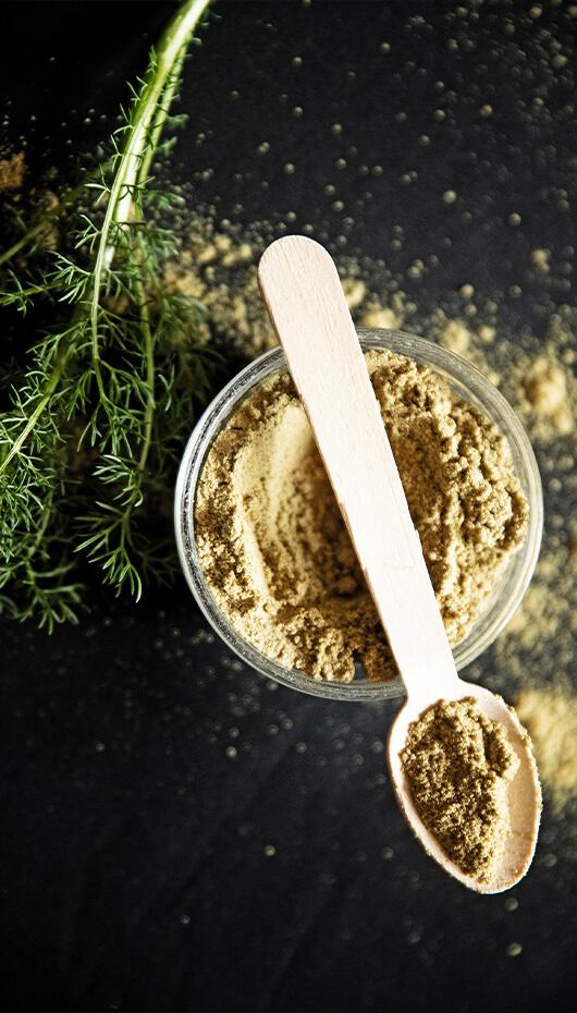 Naturmedizin nach Hildegard von Bingen.