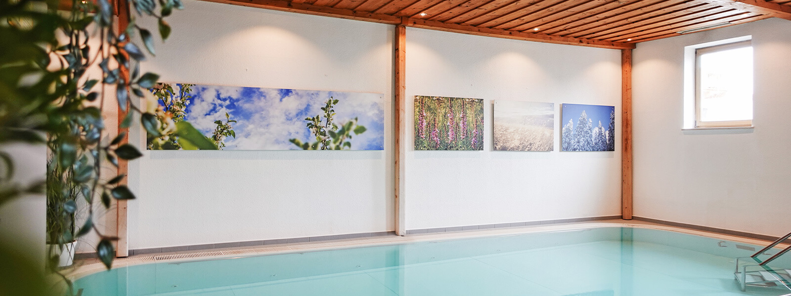 moor&mehr Bio Kurhotel