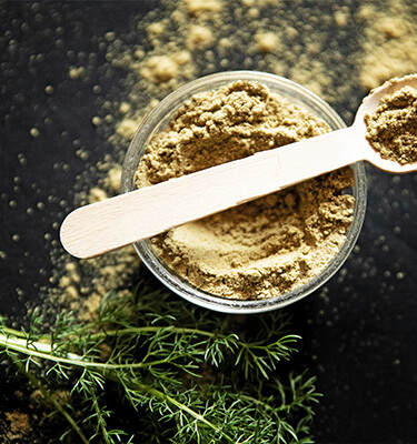 Wenn es eine Prise Gesundheit mehr sein darf. Hildegard hält einen wahren Schatz an Naturkraft bereit.