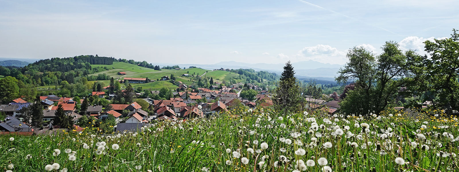 Gesundheitsvorsorge inmitten der Natur.
